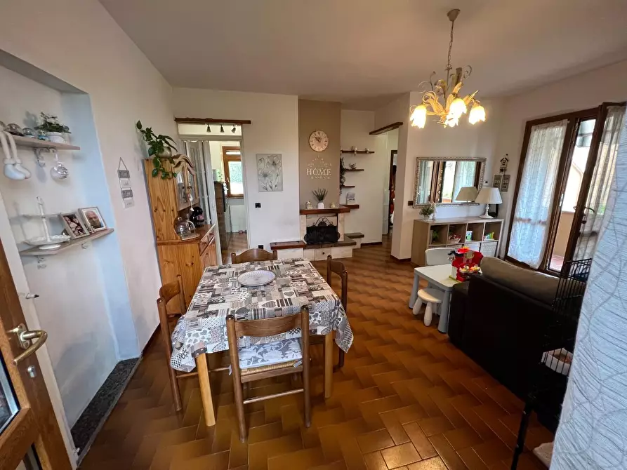 Immagine 19 di Appartamento in vendita  a Montescudaio