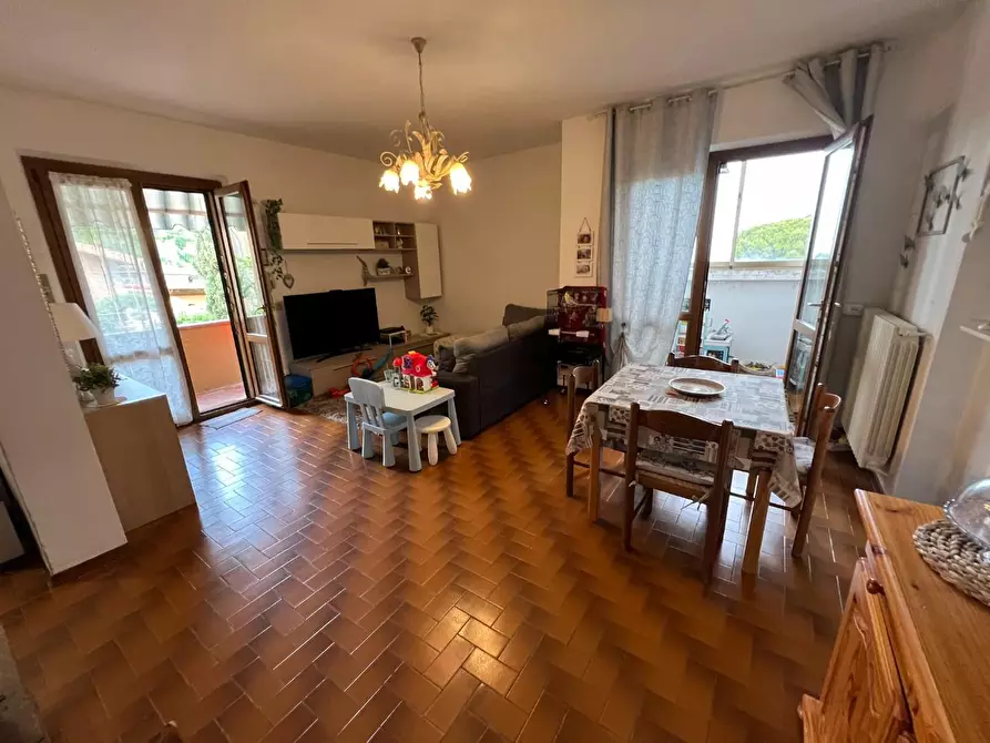 Immagine 33 di Appartamento in vendita  a Montescudaio