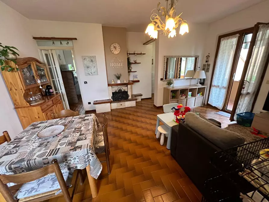 Immagine 37 di Appartamento in vendita  a Montescudaio