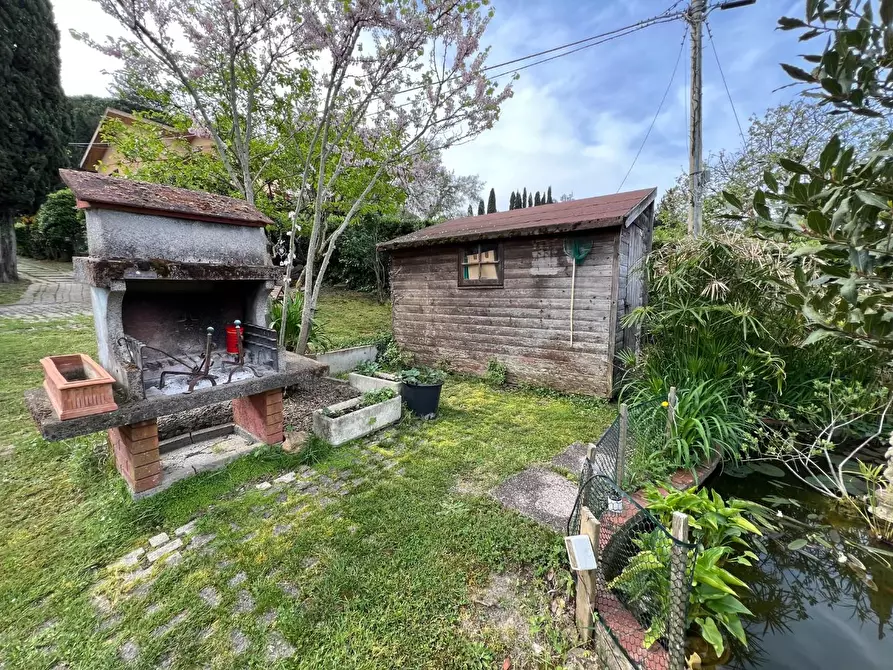 Immagine 10 di Appartamento in vendita  a Montescudaio