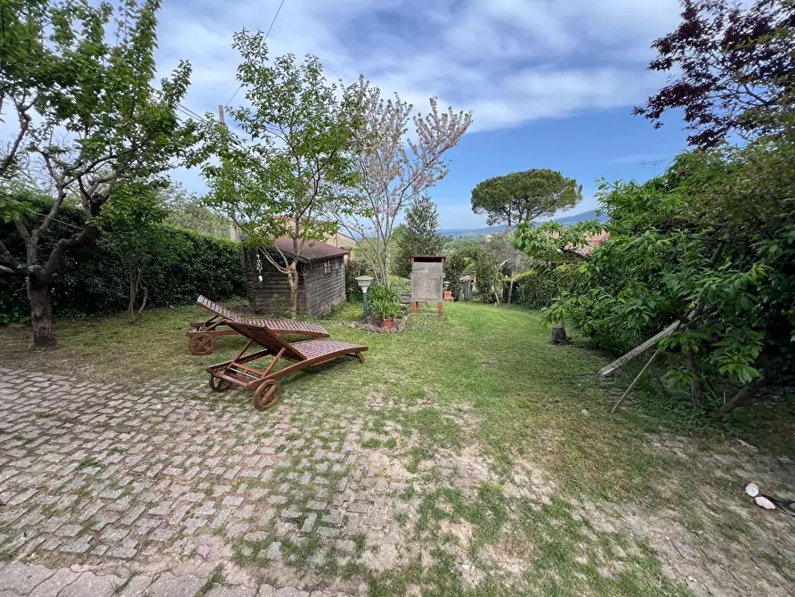 Immagine 4 di Appartamento in vendita  a Montescudaio