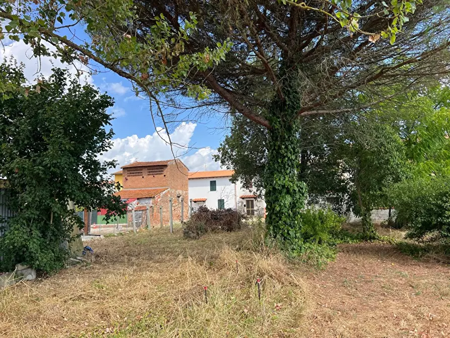 Immagine 4 di Terratetto in vendita  a Santa Maria A Monte