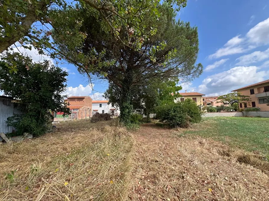 Immagine 6 di Terratetto in vendita  a Santa Maria A Monte