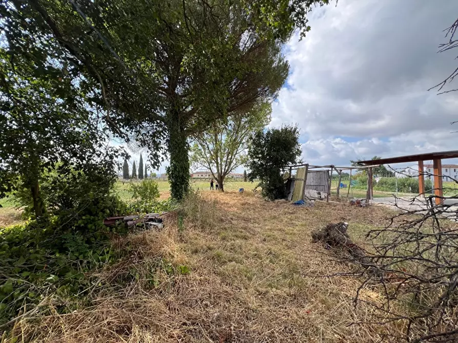 Immagine 26 di Terratetto in vendita  a Santa Maria A Monte