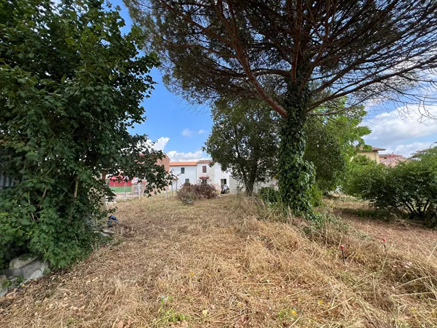 Immagine 5 di Terratetto in vendita  a Santa Maria A Monte