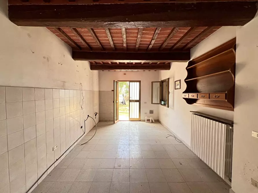 Immagine 17 di Terratetto in vendita  a Santa Maria A Monte