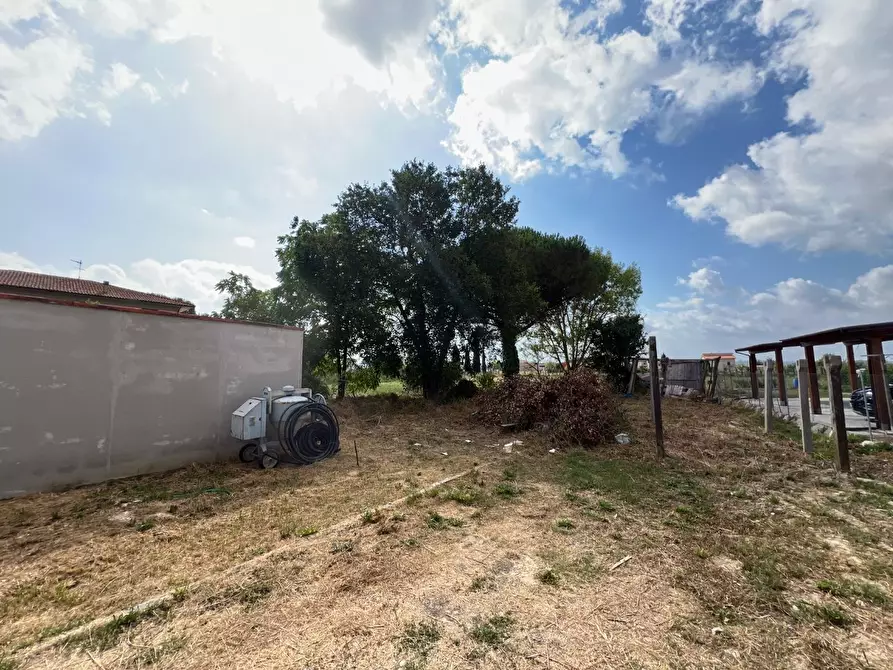 Immagine 24 di Terratetto in vendita  a Santa Maria A Monte