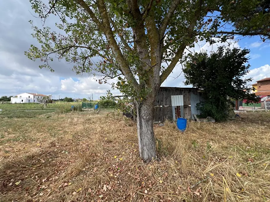 Immagine 29 di Terratetto in vendita  a Santa Maria A Monte