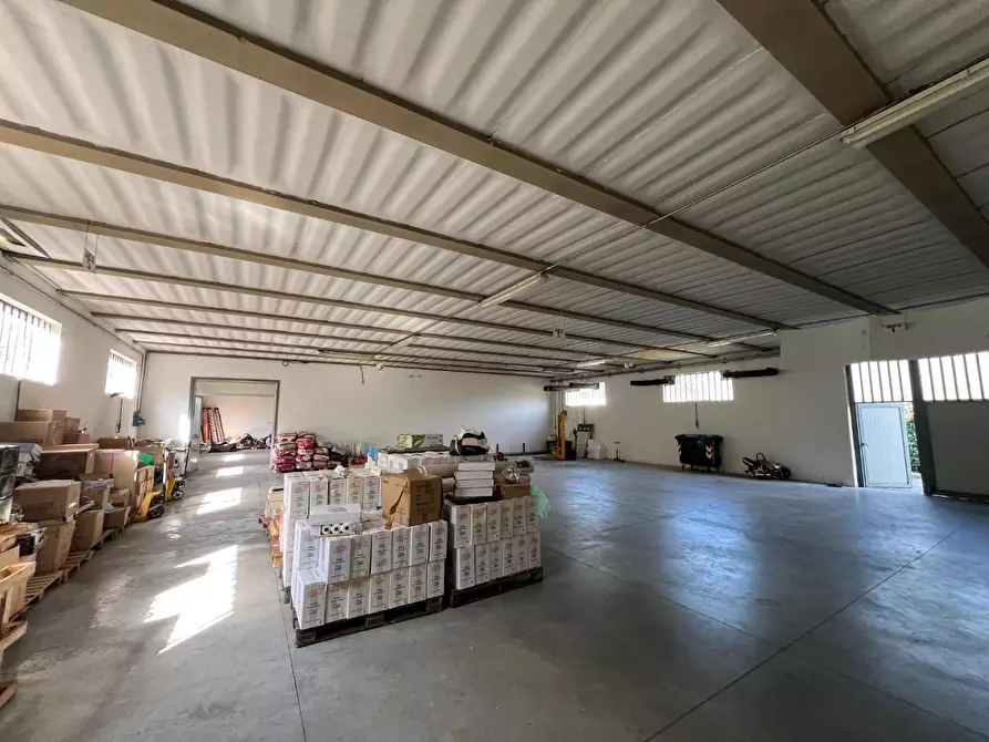 Immagine 4 di Attività artigianale in vendita  a Capannori