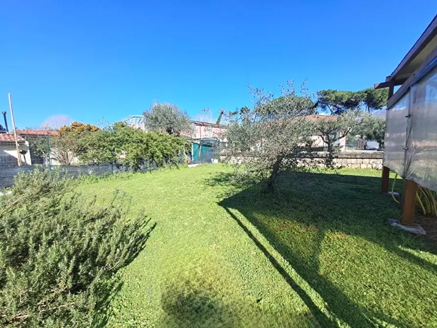 Immagine 6 di Appartamento in vendita  a Massa