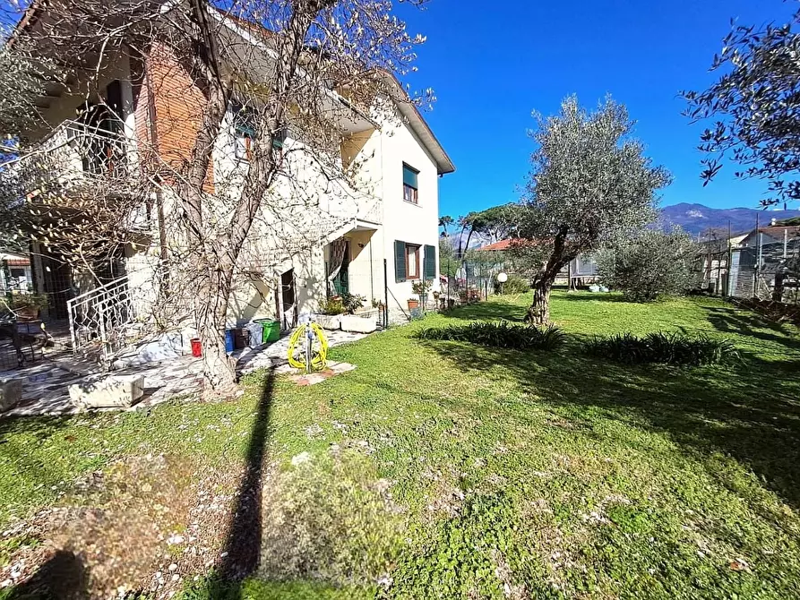 Immagine 2 di Appartamento in vendita  a Massa