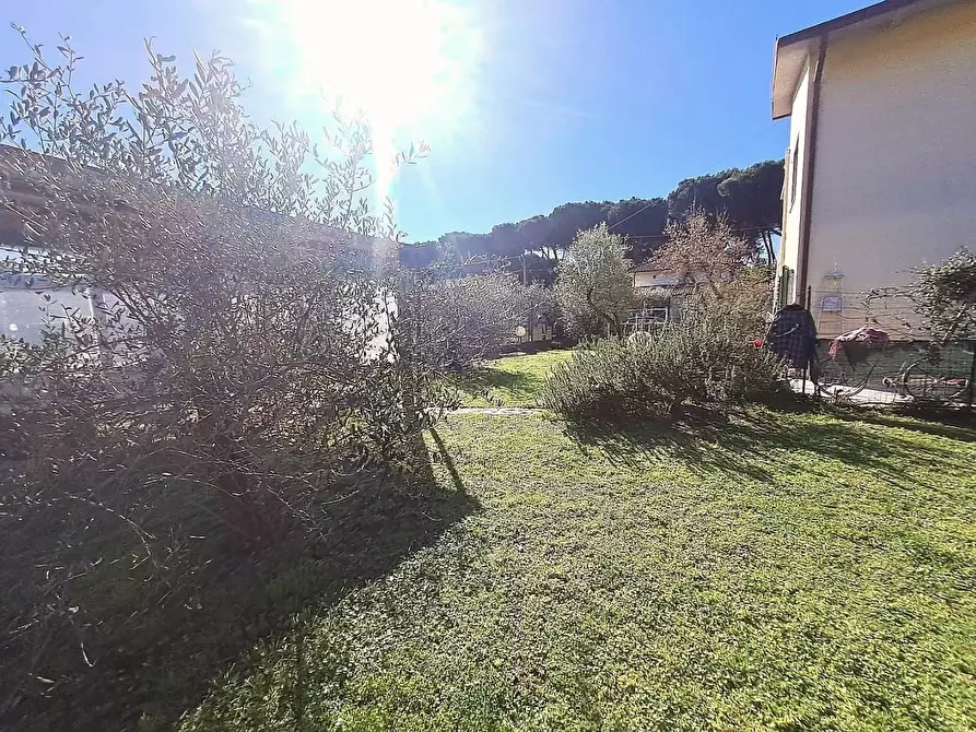 Immagine 8 di Appartamento in vendita  a Massa