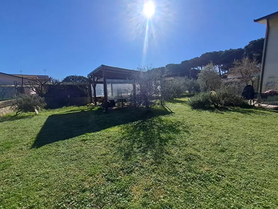 Immagine 5 di Appartamento in vendita  a Massa