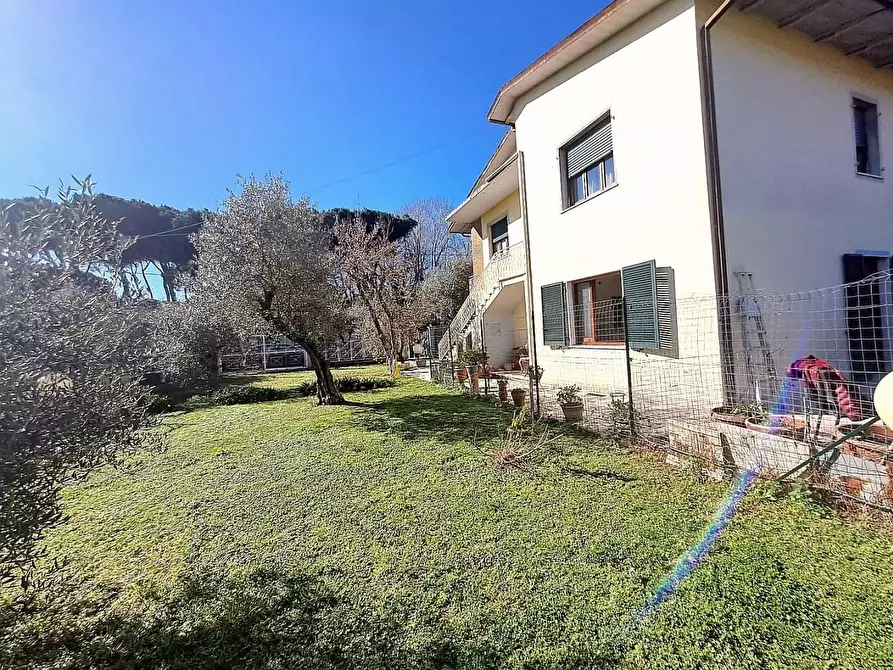 Immagine 7 di Appartamento in vendita  a Massa