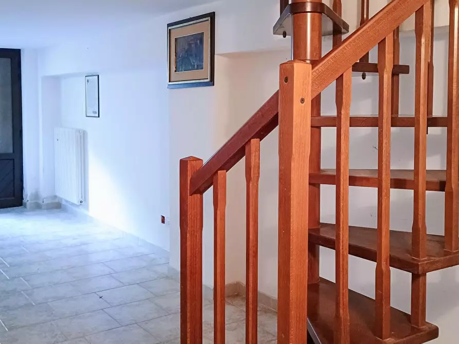 Immagine 14 di Appartamento in vendita  a Bibbona