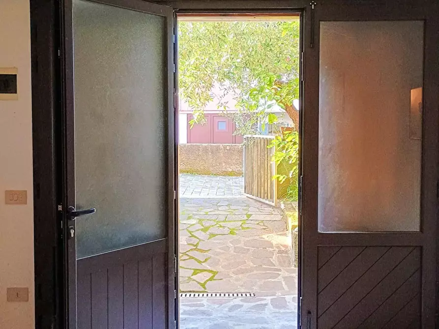 Immagine 11 di Appartamento in vendita  a Bibbona