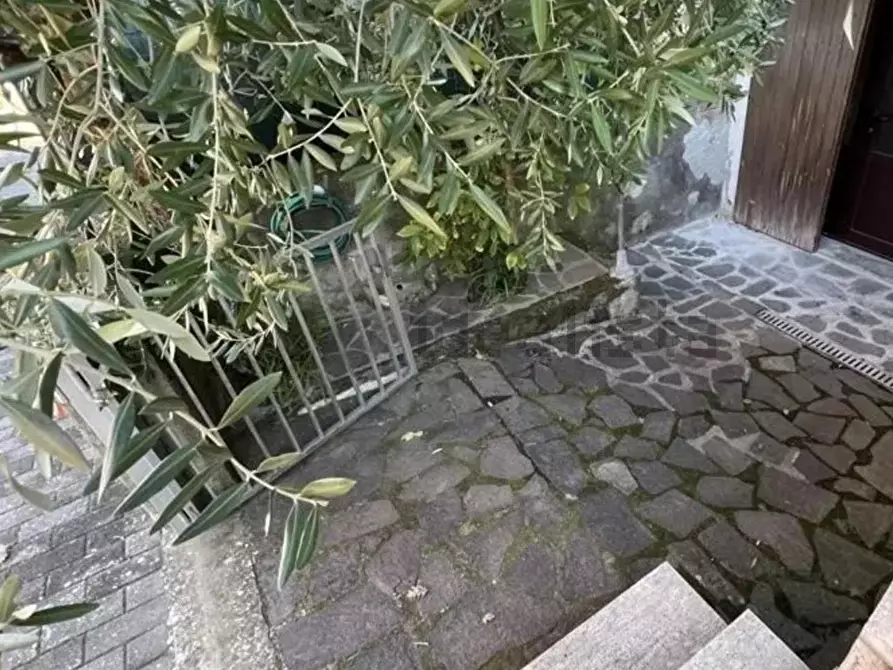 Immagine 16 di Appartamento in vendita  a Bibbona