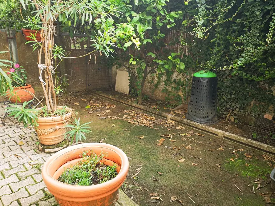 Immagine 4 di Appartamento in vendita  a Massa