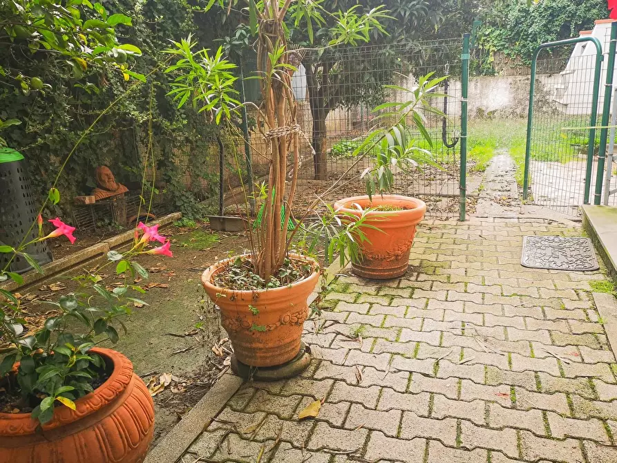 Immagine 5 di Appartamento in vendita  a Massa