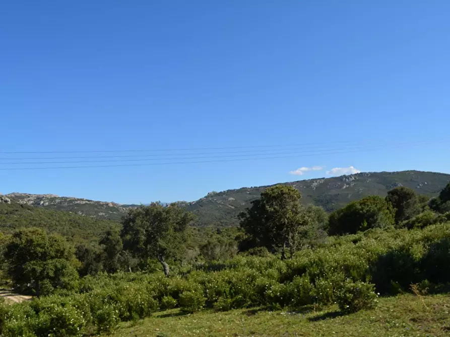 Immagine 131 di Casa colonica in vendita  a Aggius