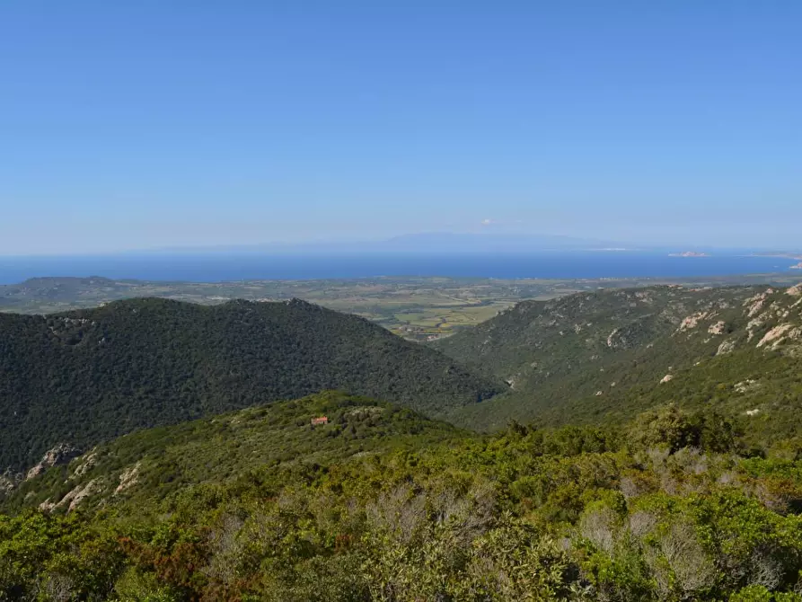 Immagine 115 di Casa colonica in vendita  a Aggius