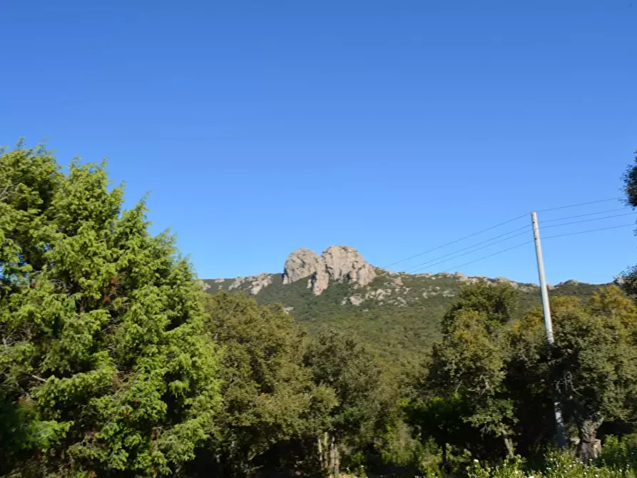 Immagine 132 di Casa colonica in vendita  a Aggius