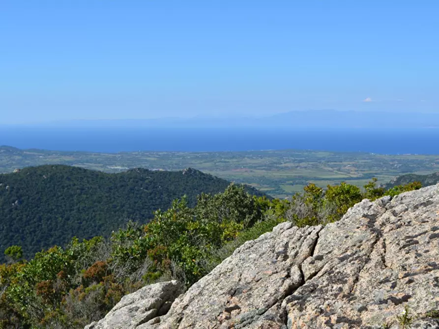 Immagine 120 di Casa colonica in vendita  a Aggius
