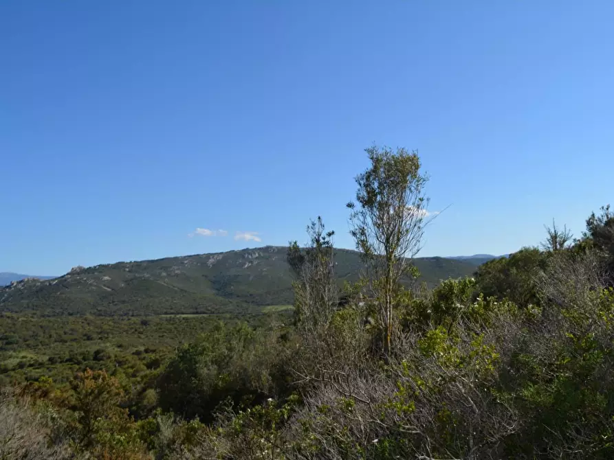 Immagine 128 di Casa colonica in vendita  a Aggius