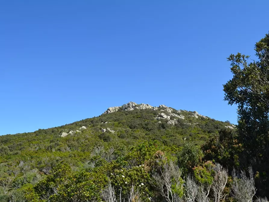 Immagine 101 di Casa colonica in vendita  a Aggius