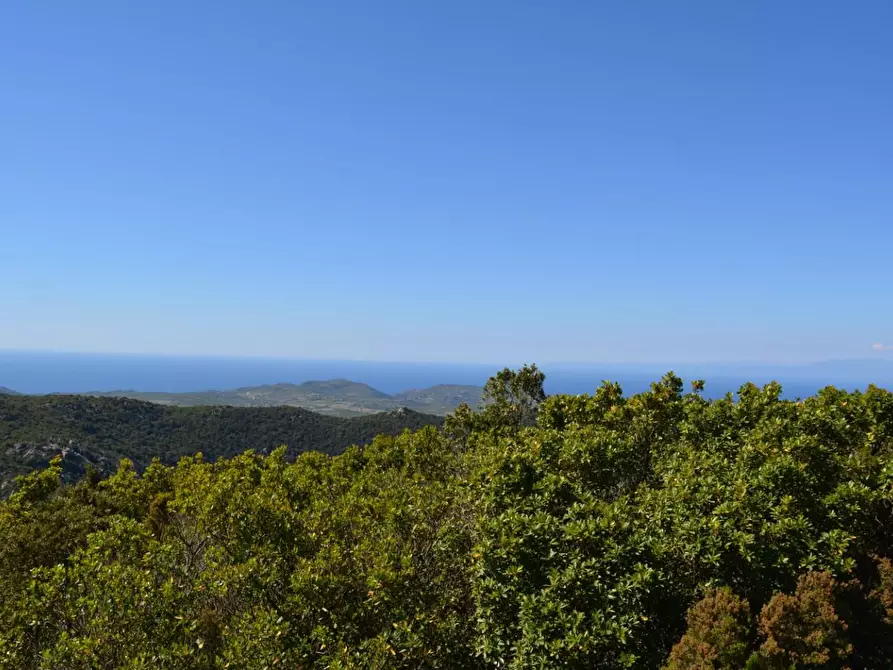 Immagine 86 di Casa colonica in vendita  a Aggius