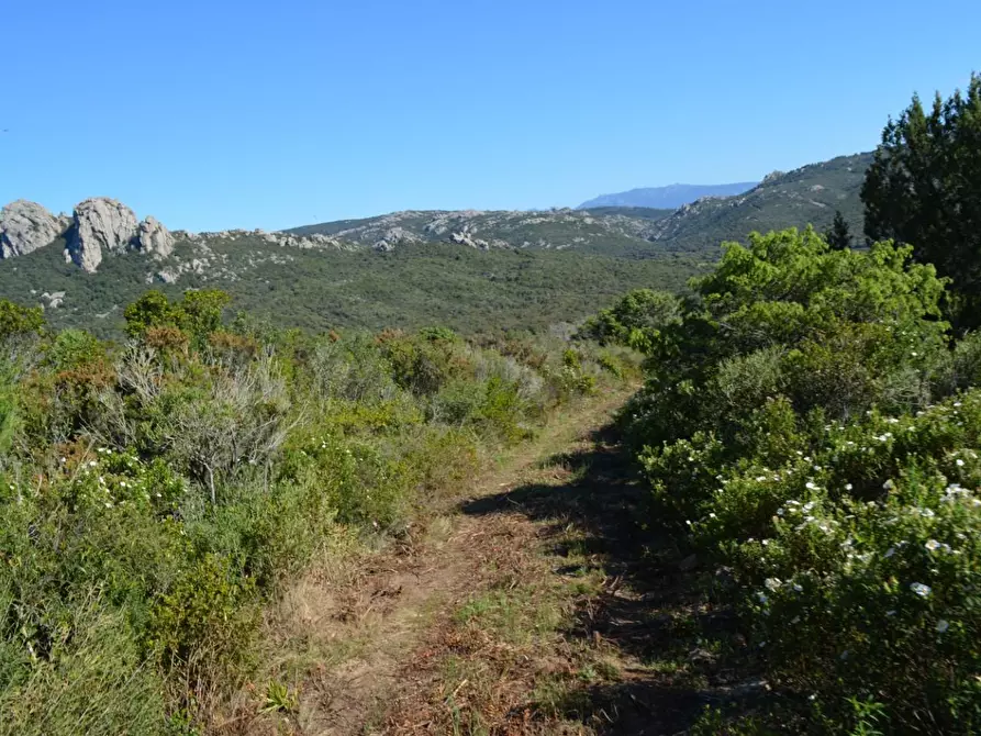 Immagine 123 di Casa colonica in vendita  a Aggius