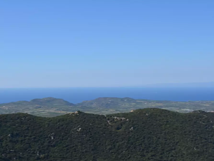 Immagine 93 di Casa colonica in vendita  a Aggius