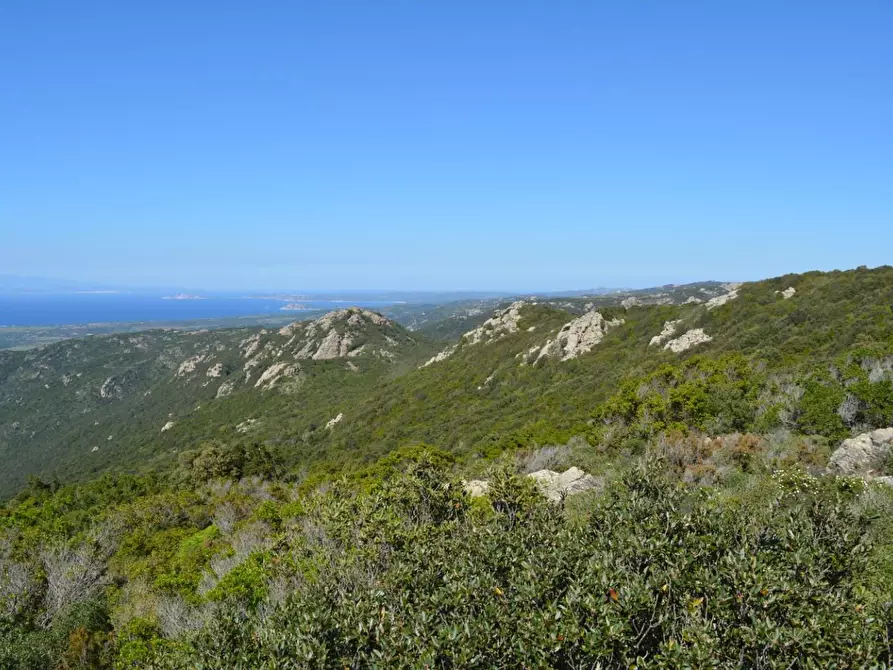 Immagine 103 di Casa colonica in vendita  a Aggius