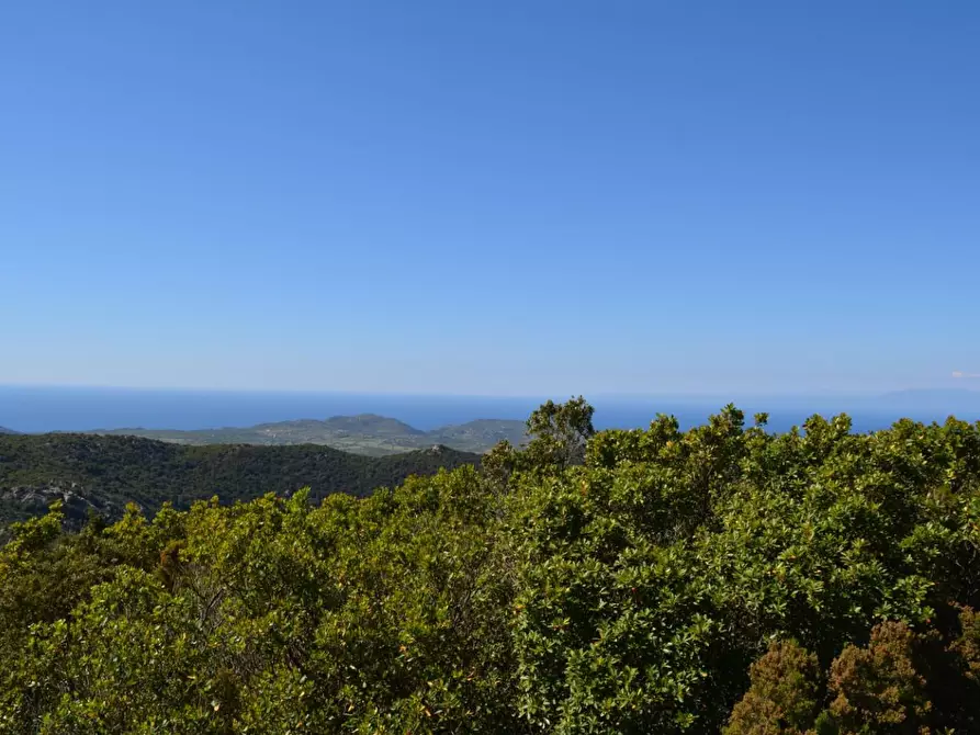 Immagine 87 di Casa colonica in vendita  a Aggius