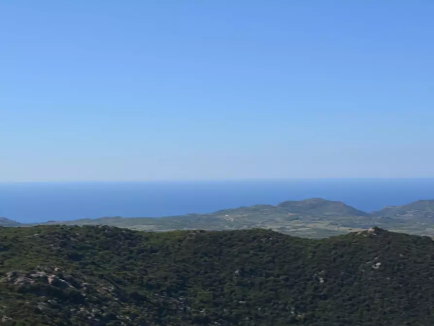 Immagine 94 di Casa colonica in vendita  a Aggius