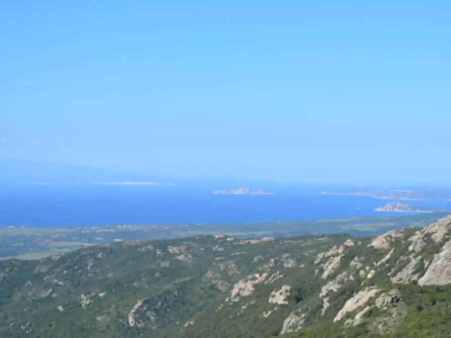 Immagine 112 di Casa colonica in vendita  a Aggius