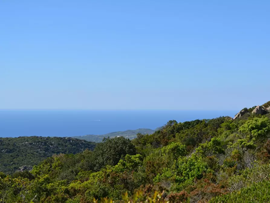 Immagine 79 di Casa colonica in vendita  a Aggius