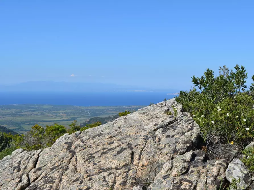 Immagine 119 di Casa colonica in vendita  a Aggius