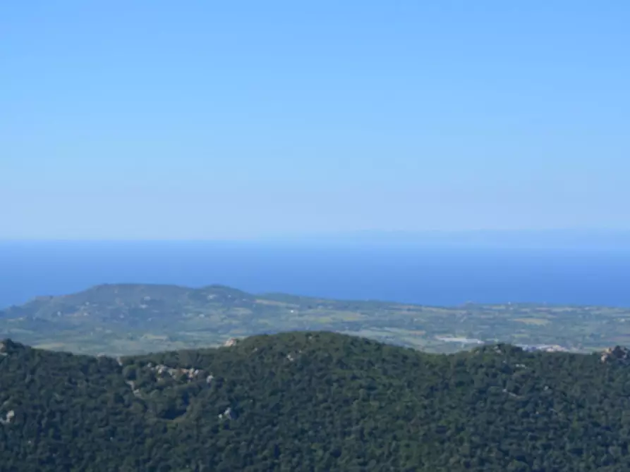 Immagine 114 di Casa colonica in vendita  a Aggius