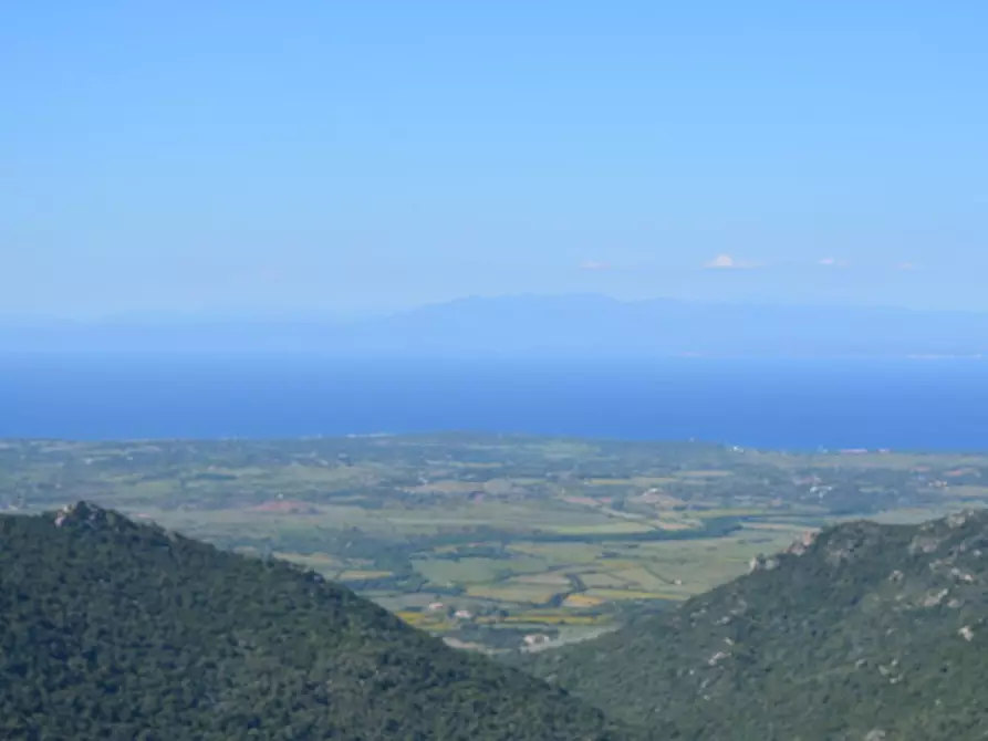 Immagine 113 di Casa colonica in vendita  a Aggius