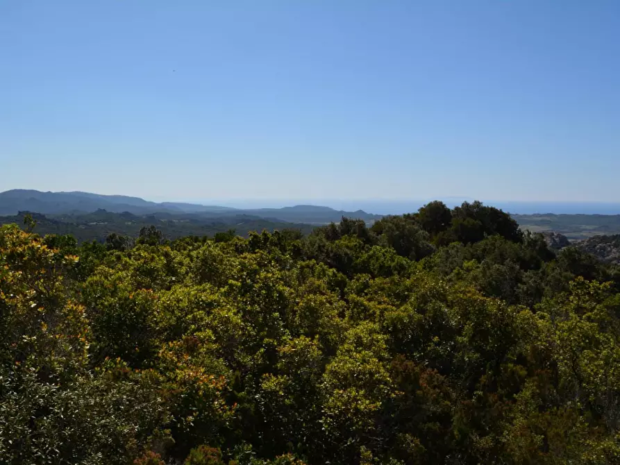 Immagine 84 di Casa colonica in vendita  a Aggius