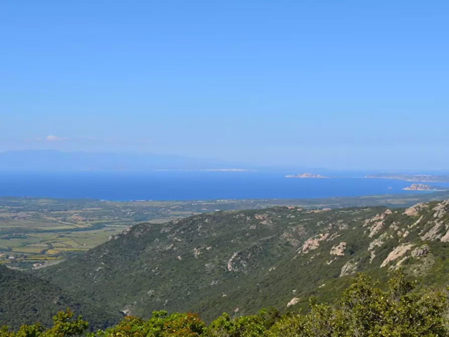 Immagine 90 di Casa colonica in vendita  a Aggius