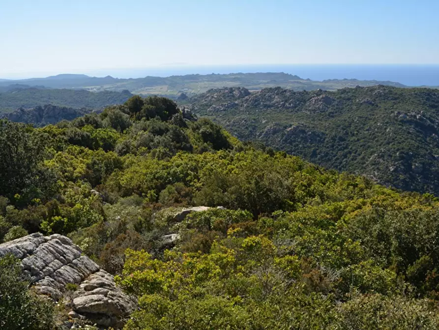 Immagine 108 di Casa colonica in vendita  a Aggius