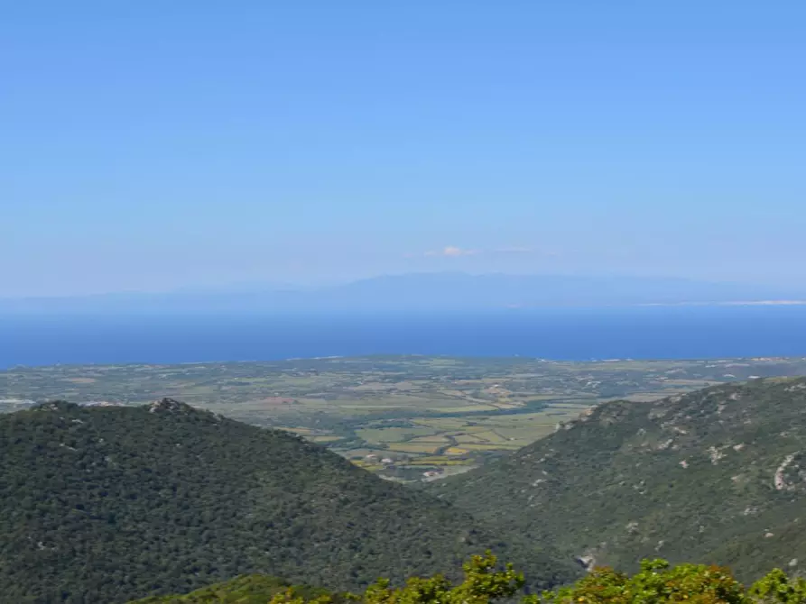 Immagine 91 di Casa colonica in vendita  a Aggius