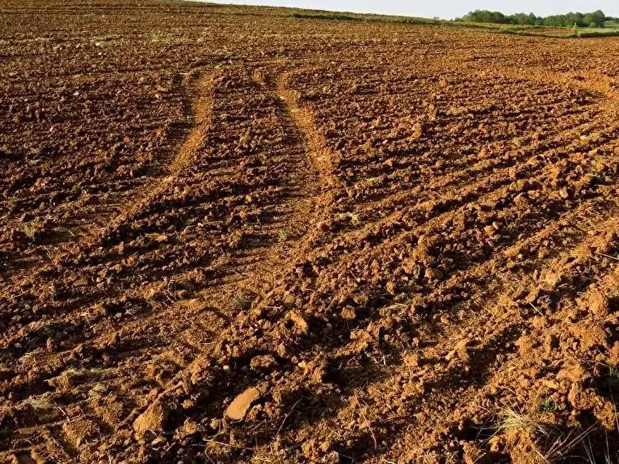 Immagine 3 di Terreno agricolo in vendita  a Santa Maria A Monte