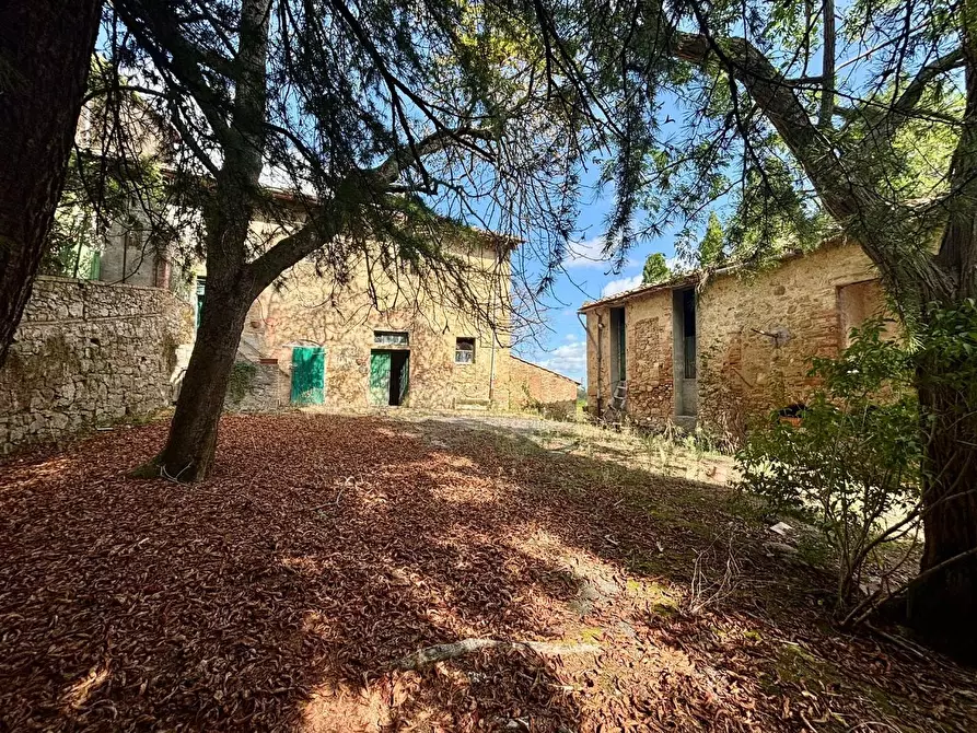 Immagine 5 di Villa in vendita  a Volterra