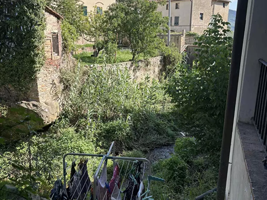 Immagine 14 di Terratetto in vendita  a Calci