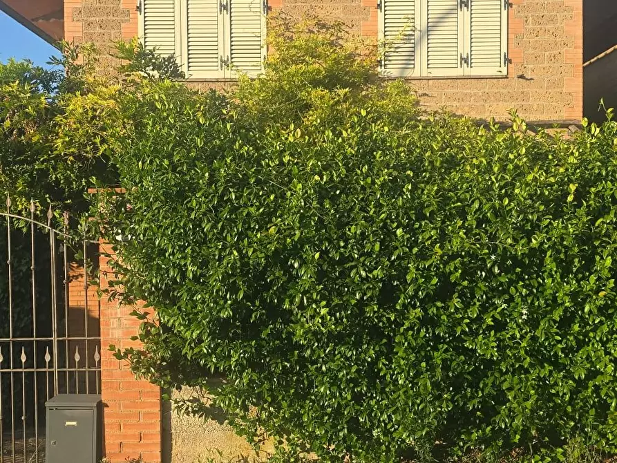 Immagine 4 di Villa in vendita  a Monteroni D'arbia