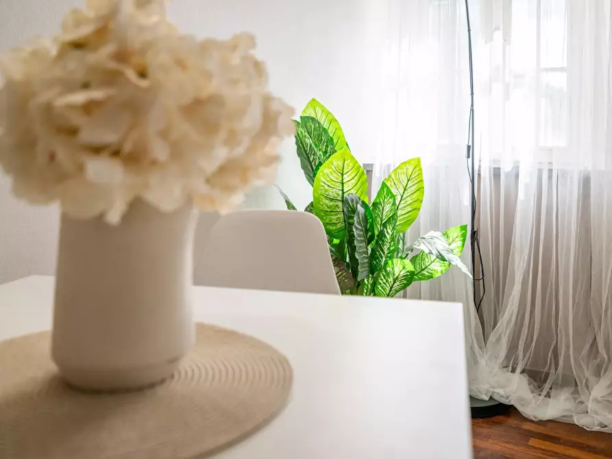 Immagine 4 di Appartamento in vendita  a Vicopisano