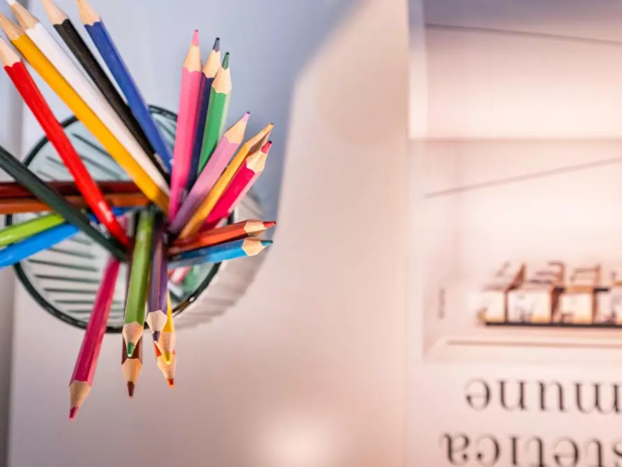 Immagine 35 di Appartamento in vendita  a Vicopisano